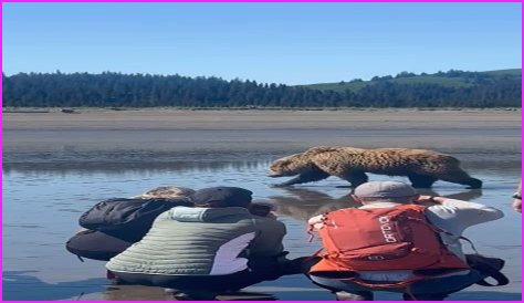 Dylan 'Grizzly Guy' Death: Conservation World Mourns Loss