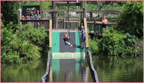 Gatorland Zipline Tragedy: Safety Concerns Raised After Near Miss