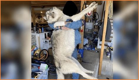 Morgan BGC Death: Mystery Deepens as Investigation Continues