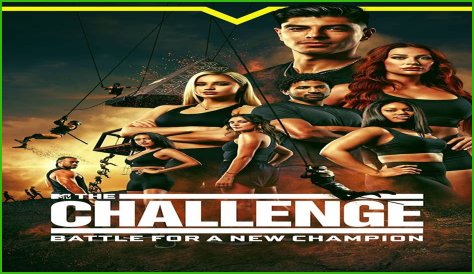 Secrets And Strategies From 'The Challenge'