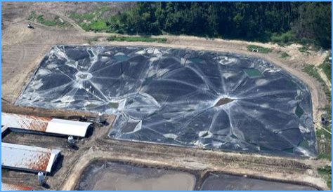 Smithfield's 'Deathstar' Hog Farm: Environmental Disaster?