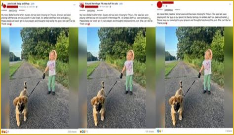 The Bella Heather Missing Scam Exposed!