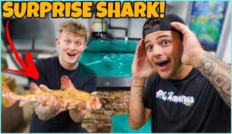 Unveiling Paul Cuffaro's Net Worth: Discoveries And Insights